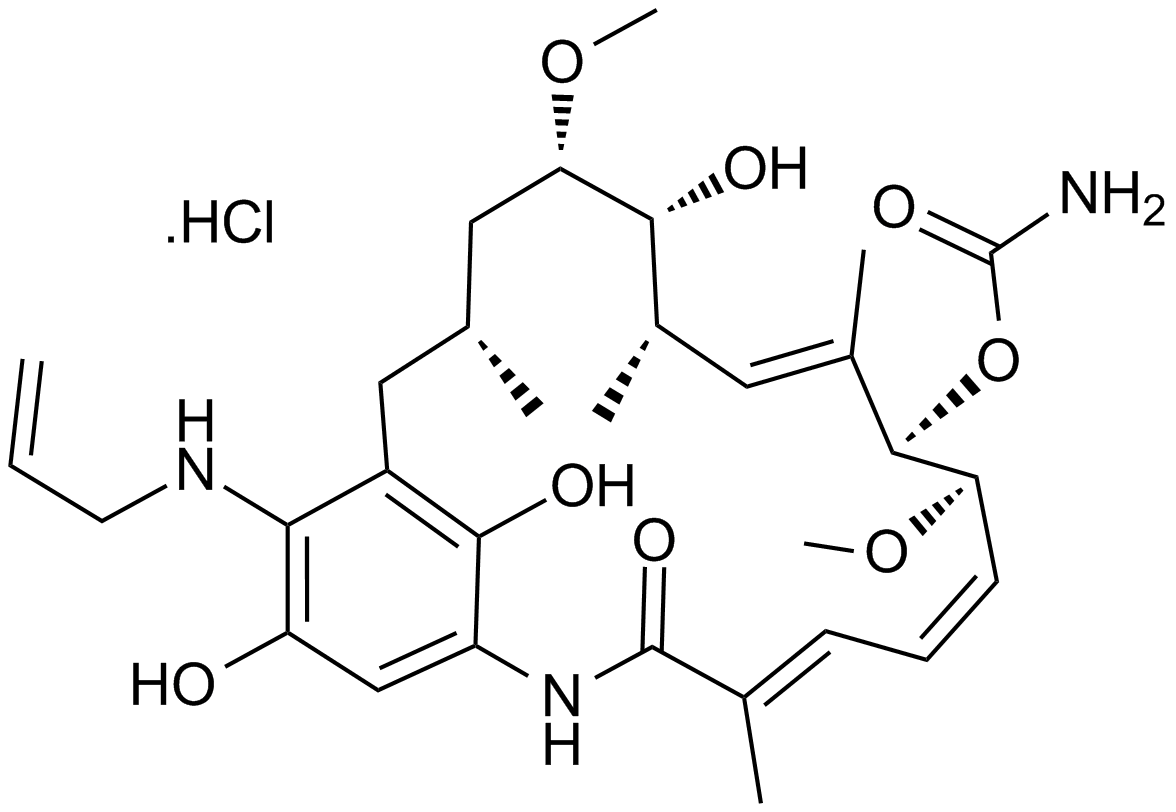 IPI-504(Retaspimycin hydrochloride)ͼƬ