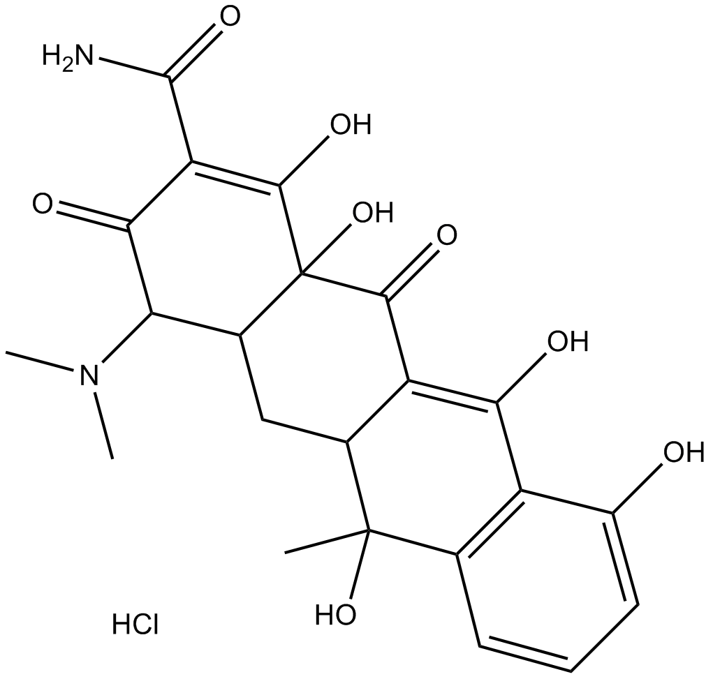 Tetracycline HydrochlorideͼƬ