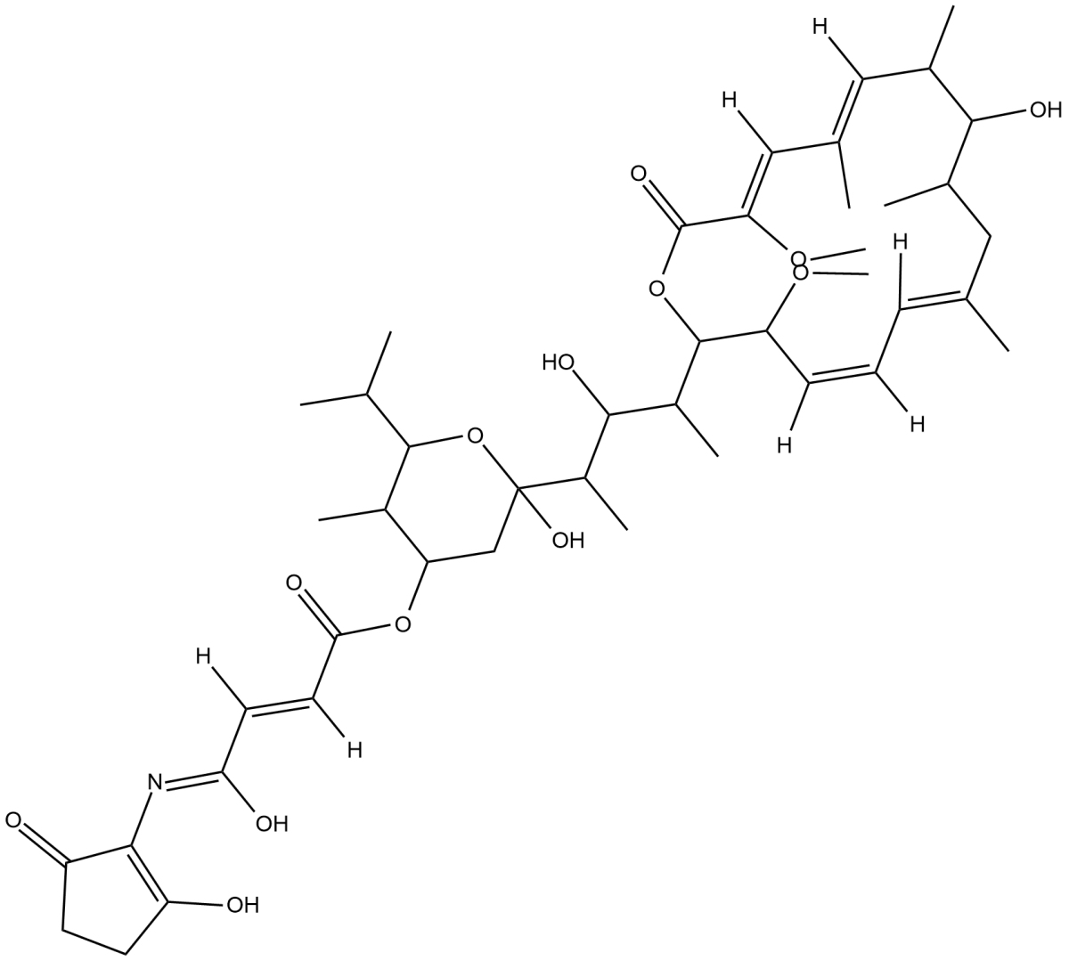 Bafilomycin B1ͼƬ