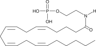 Arachidonoyl Ethanolamide PhosphateͼƬ