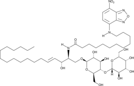 C12 NBD Lactosylceramide(d18:1/12:0)ͼƬ