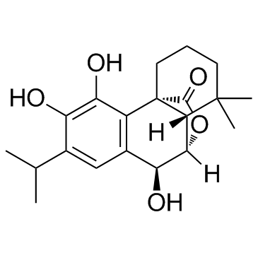 RosmanolͼƬ