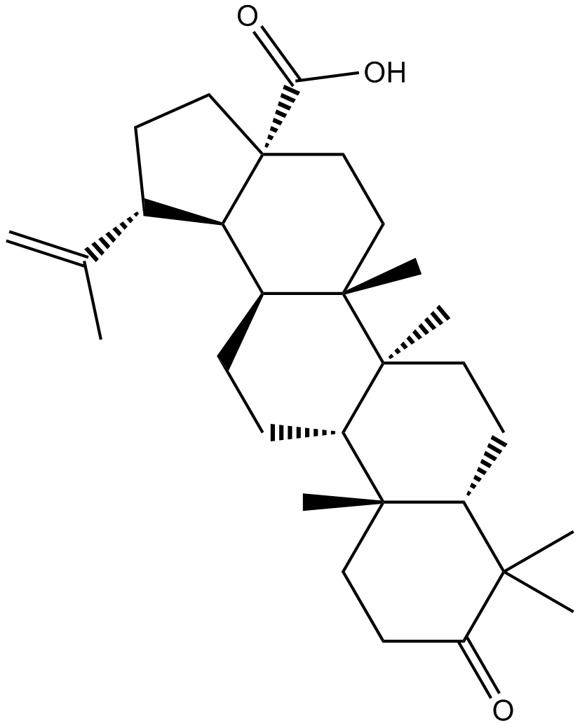 Liquidambaric acidͼƬ