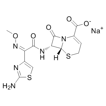 Ceftizoxime sodium(SKF-88373)ͼƬ