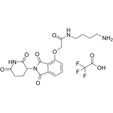 E3 ligase Ligand-Linker Conjugates 16ͼƬ