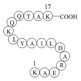 Cytochrome c-pigeon(88-104)ͼƬ