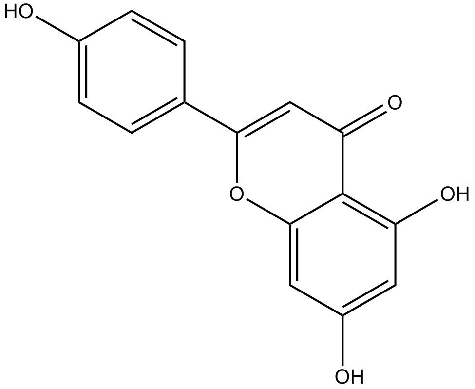 ApigeninͼƬ