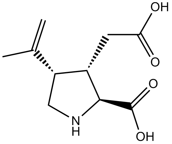 Kainic acidͼƬ