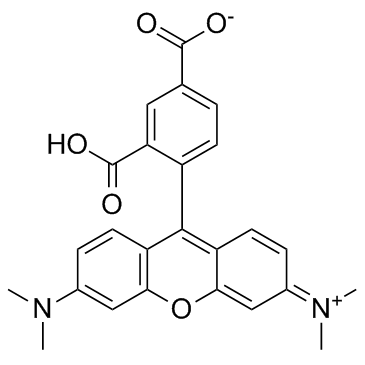 5-TAMRA(5-Carboxytetramethylrhodamine)ͼƬ