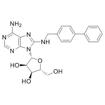 CNT2 inhibitor-1ͼƬ