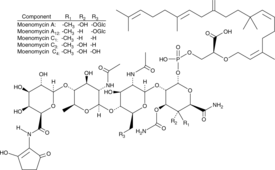 Moenomycin ComplexͼƬ