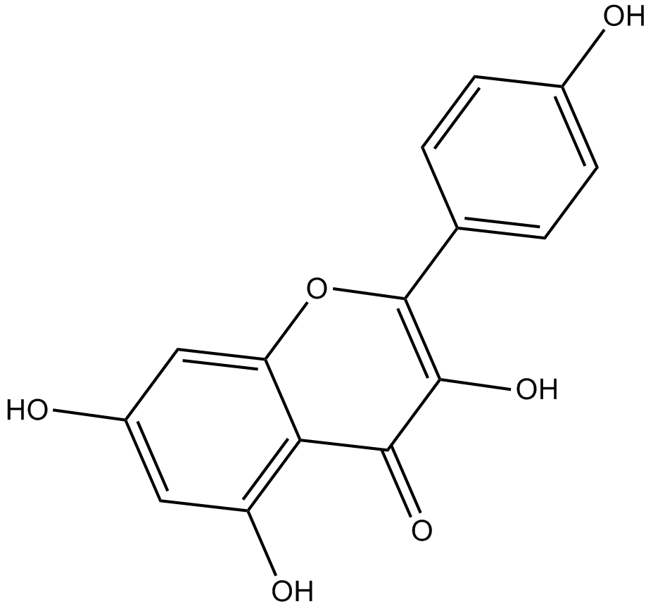 KaempferolͼƬ