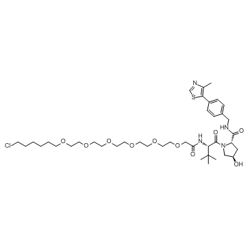 E3 ligase Ligand-Linker Conjugates 9ͼƬ