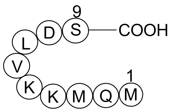 Anti-Inflammatory Peptide 1ͼƬ