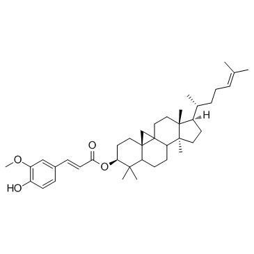 &gamma-OryzanolͼƬ