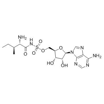 Aminoacyl tRNA synthetase-IN-1ͼƬ