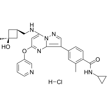 CFI-402257 hydrochlorideͼƬ