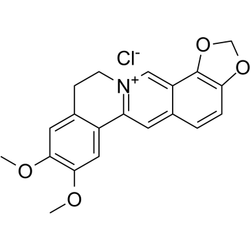 Epiberberine chlorideͼƬ