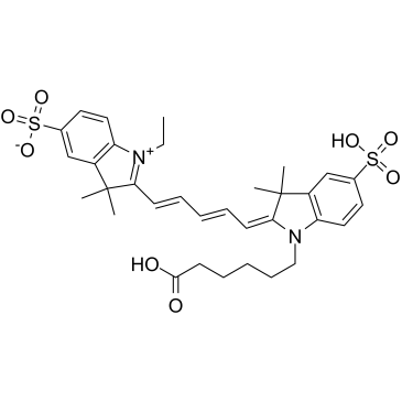 CY5图片