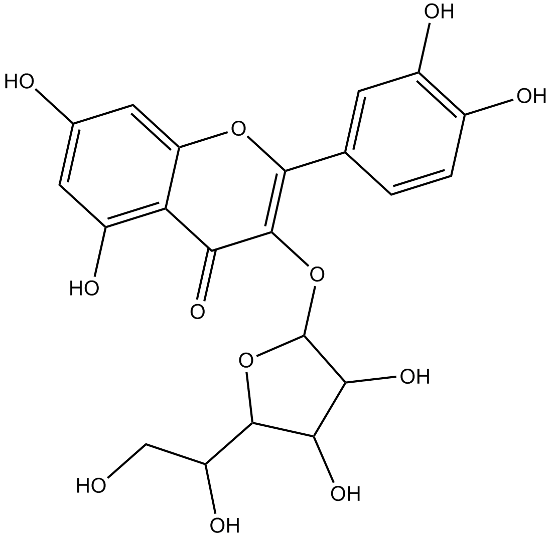 IsoquercitrinIsoquercetin IsoquercitrosideͼƬ