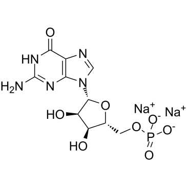 Guanosine 5'-monophosphate(sodium salt)ͼƬ