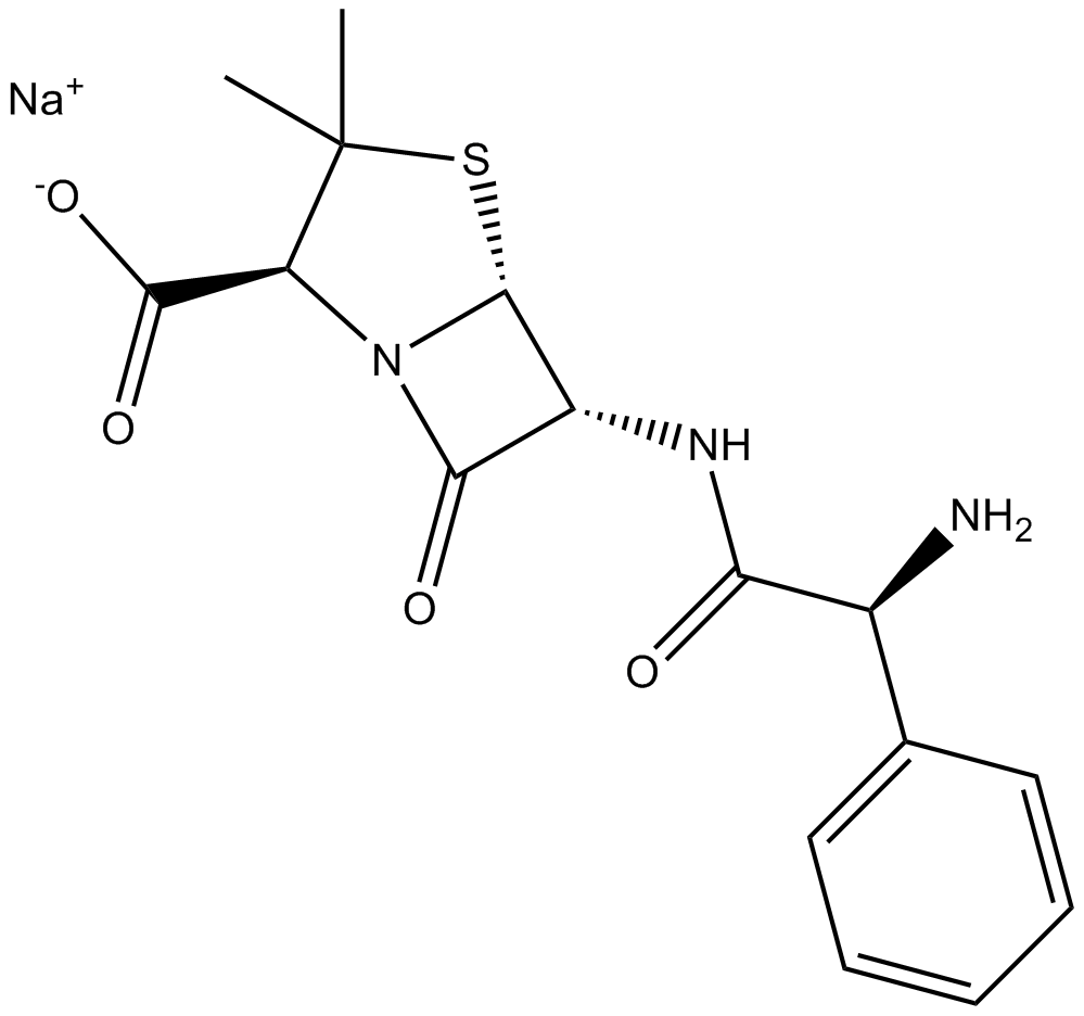 AmpicillinͼƬ