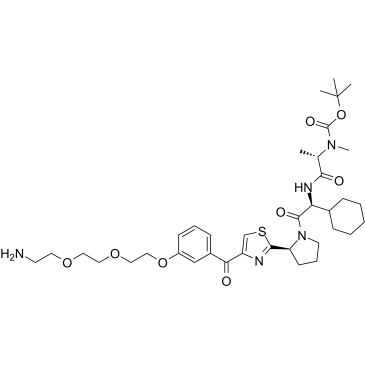 E3 ligase Ligand-Linker Conjugates 39ͼƬ