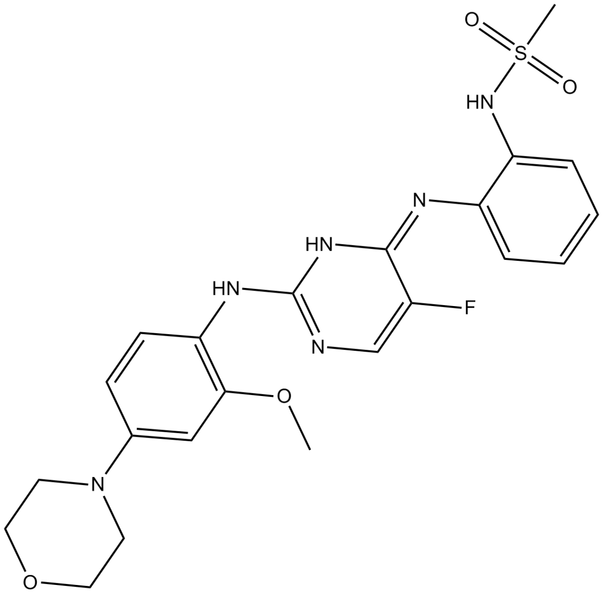 CZC-25146图片