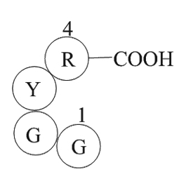 Papain InhibitorͼƬ