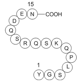 Myelin Basic Protein(68-82),guinea pig图片