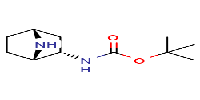 tert-butylN-[(1S,2S,4R)-7-azabicyclo[2,2,1]heptan-2-yl]carbamateͼƬ