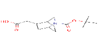 2-(2-tert-butoxycarbonyl-2-azabicyclo[2,2,2]octan-5-yl)aceticacidͼƬ