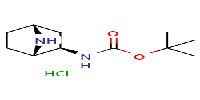 tert-butylN-[(1S,2R,4R)-7-azabicyclo[2,2,1]heptan-2-yl]carbamatehydrochlorideͼƬ