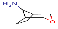 3-oxabicyclo[3,2,1]octan-8-amineͼƬ