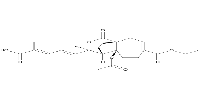 Demethoxydeacetoxypseudolaric acid B analogͼƬ