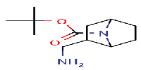 tert-butyl2-(aminomethyl)-7-azabicyclo[2,2,1]heptane-7-carboxylateͼƬ