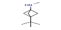 3-tert-butyl-N-methylbicyclo[1,1,1]pentan-1-amineͼƬ