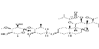 3-O-beta-Allopyranosyl-(1->4)-beta-oleandropyranosyl-11-O-isobutyryl-12-O-acetyltenacigenin BͼƬ