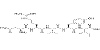 Angiotensin I/II 1-5ͼƬ