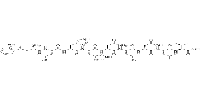 Uty HY Peptide 246-254ͼƬ