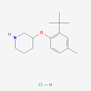 3-[2-(tert-Butyl)-4-methylphenoxy]piperidinehydrochlorideͼƬ