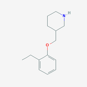 3-[(2-Ethylphenoxy)methyl]piperidineͼƬ