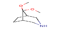 8,8-dimethoxy-3-azabicyclo[3,2,1]octaneͼƬ