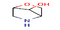 2-oxa-5-azabicyclo[2,2,1]heptan-7-ol图片