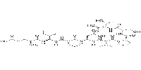 Fibronectin CS1 PeptideͼƬ