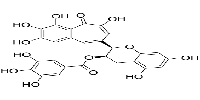 Epitheaflagallin 3-O-gallateͼƬ