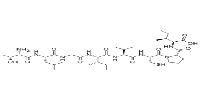 HPV16 E7(86-93)ͼƬ