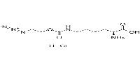 UAA crosslinker 1 hydrochlorideͼƬ