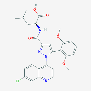 TC NTR1 17ͼƬ