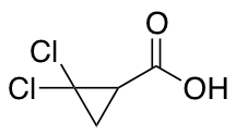 2,2-Dichlorocyclopropane-1-carboxylic acidͼƬ